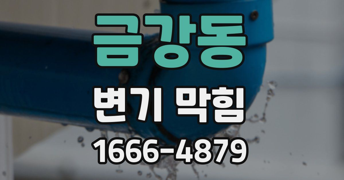 금강동 변기 막힘