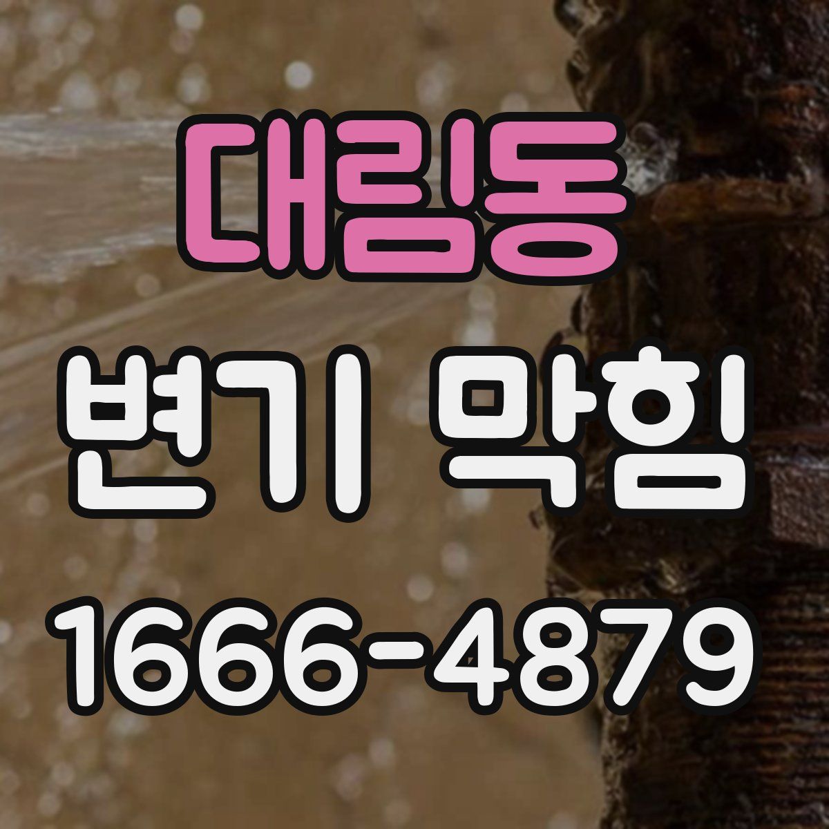 대림동 변기 막힘