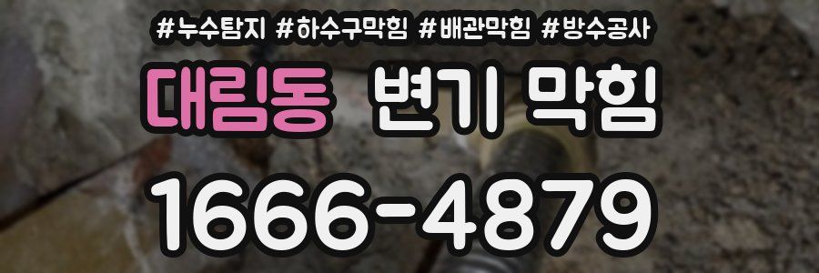 대림동 변기 막힘