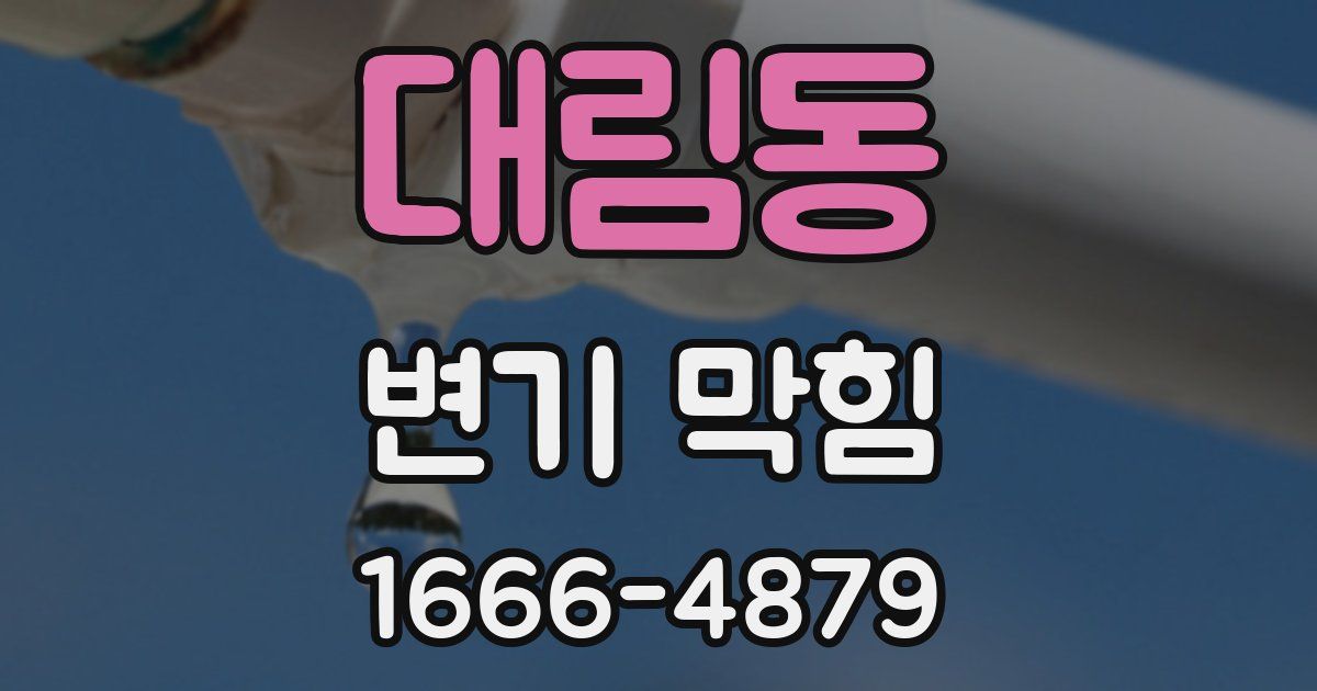대림동 변기 막힘