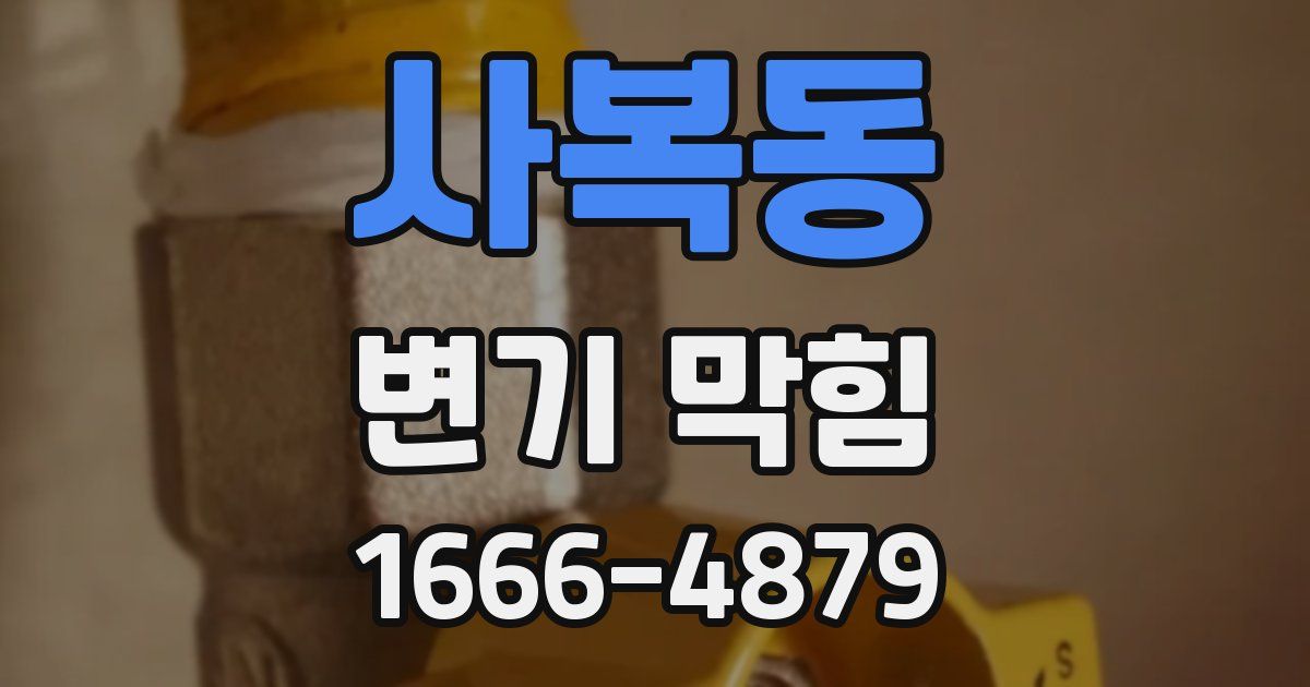 사복동 변기 막힘