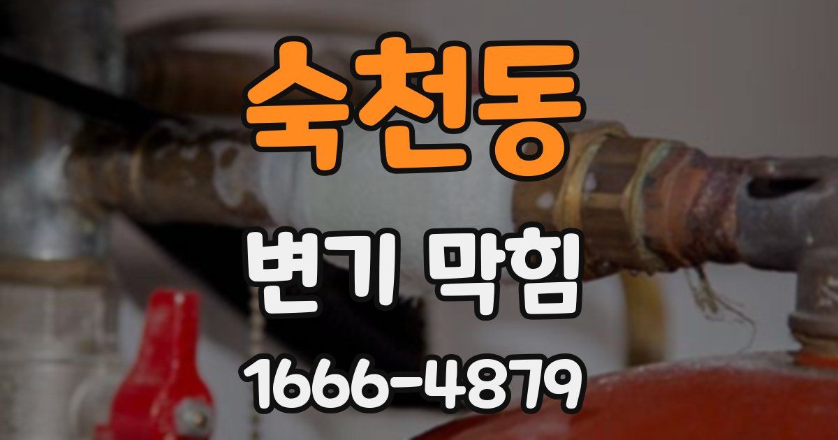 숙천동 변기 막힘