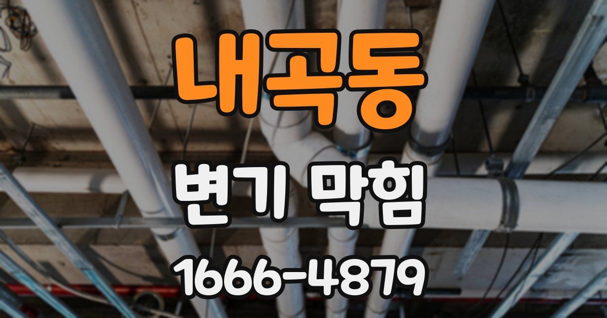 내곡동 변기 막힘