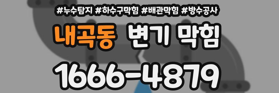 내곡동 변기 막힘