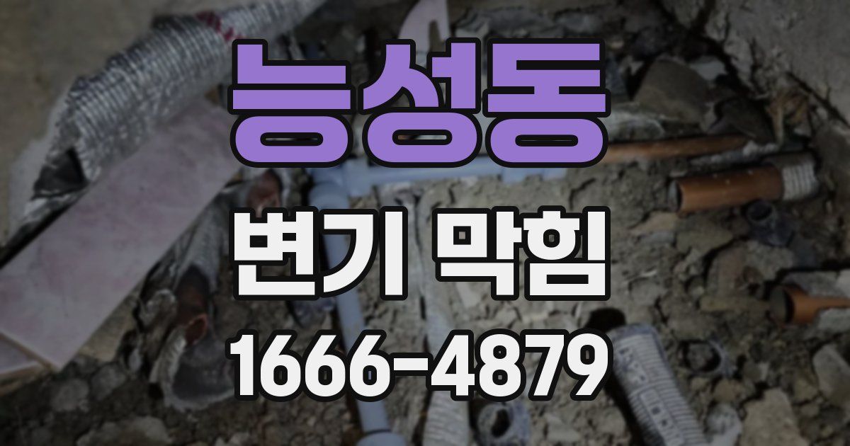 능성동 변기 막힘