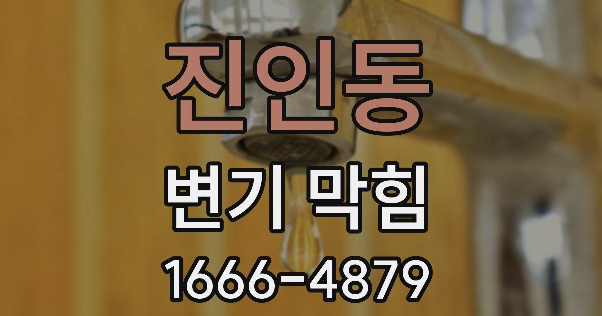 진인동 변기 막힘