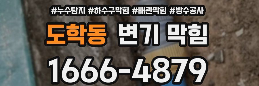 도학동 변기 막힘