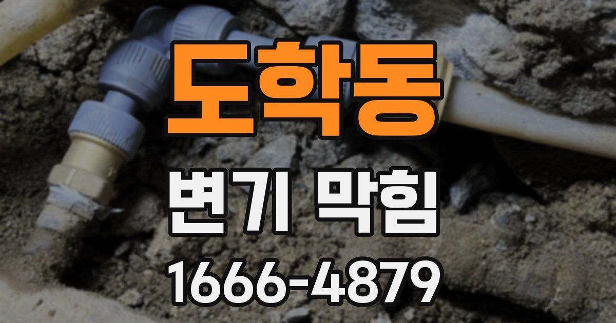 도학동 변기 막힘
