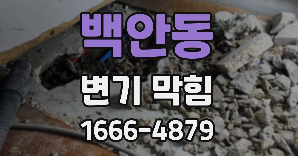 백안동 변기 막힘