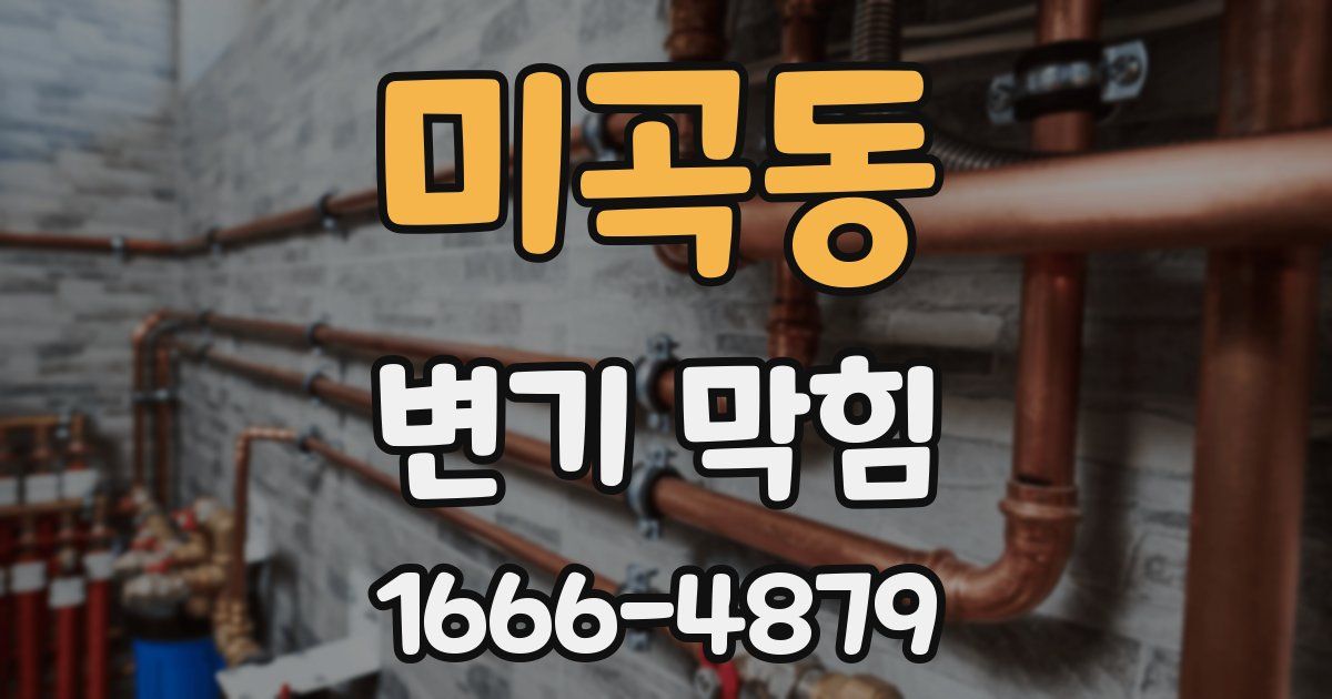 미곡동 변기 막힘