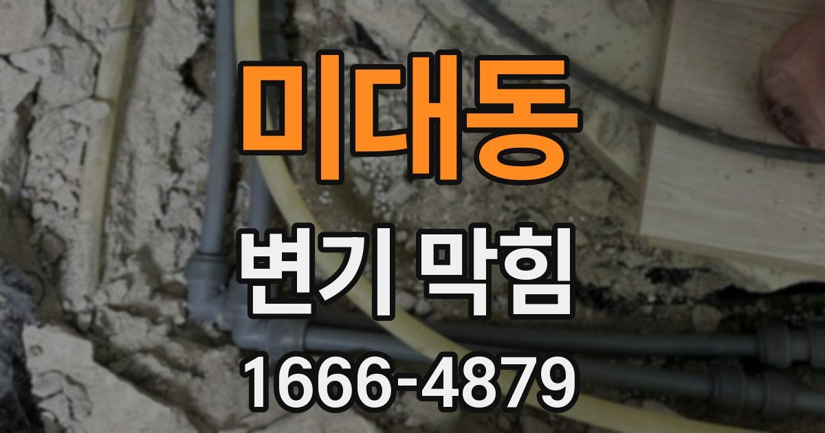 미대동 변기 막힘
