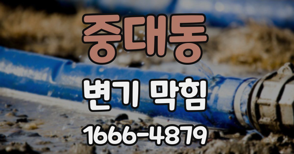 중대동 변기 막힘
