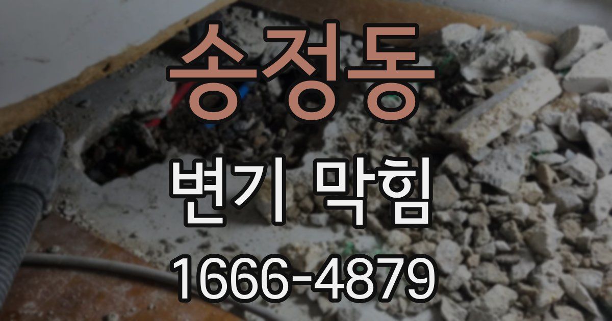 송정동 변기 막힘