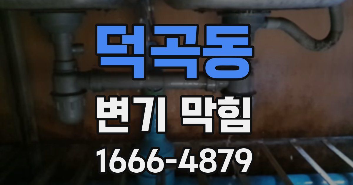 덕곡동 변기 막힘