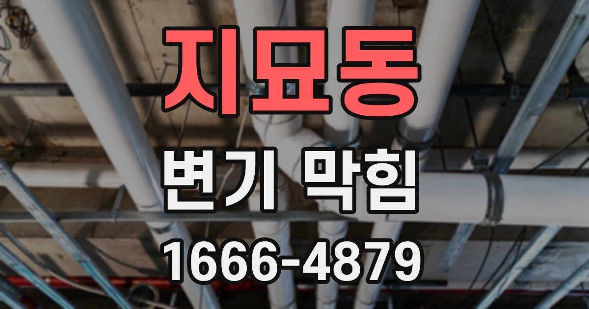 지묘동 변기 막힘