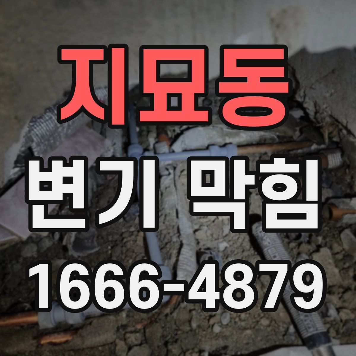 지묘동 변기 막힘