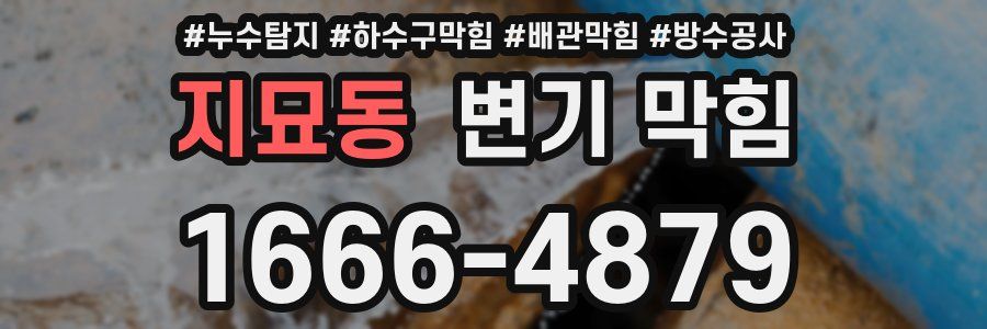 지묘동 변기 막힘