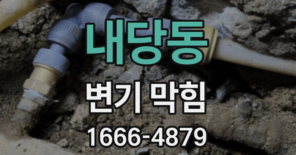 내당동 변기 막힘