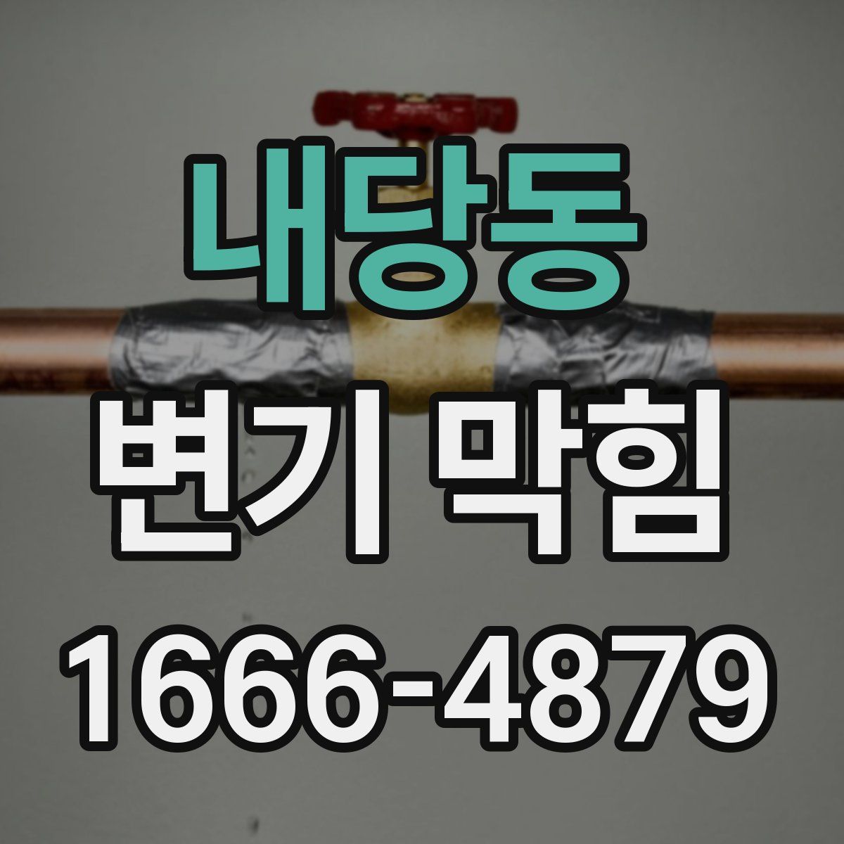 내당동 변기 막힘