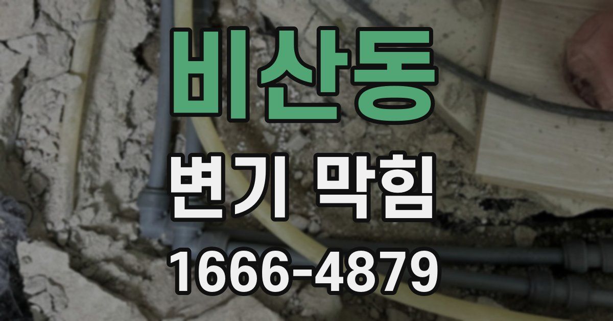 비산동 변기 막힘