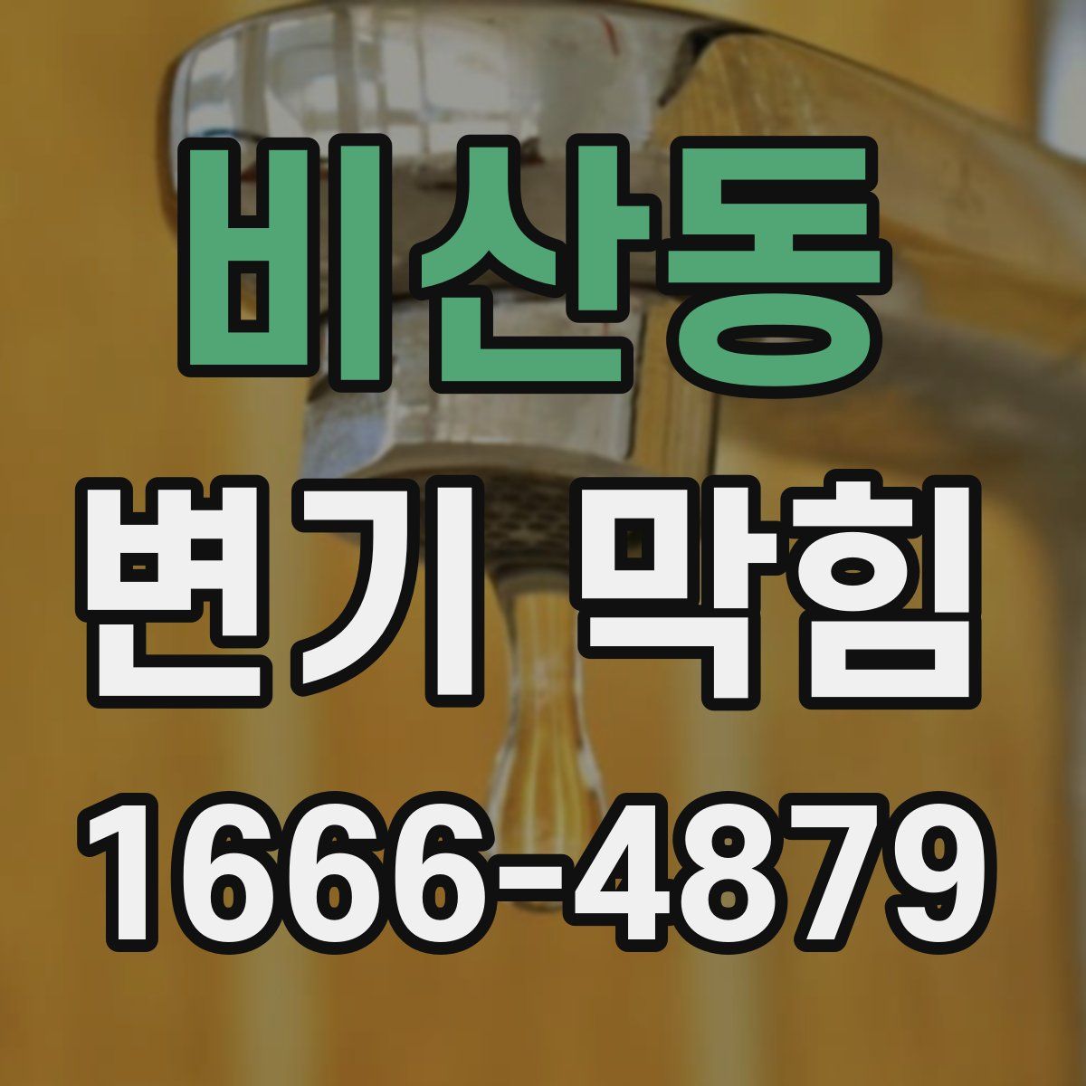 비산동 변기 막힘