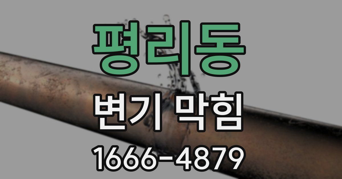 평리동 변기 막힘