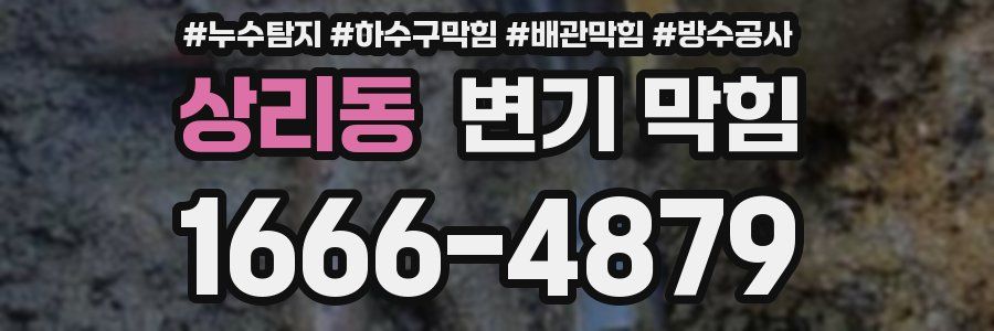 상리동 변기 막힘