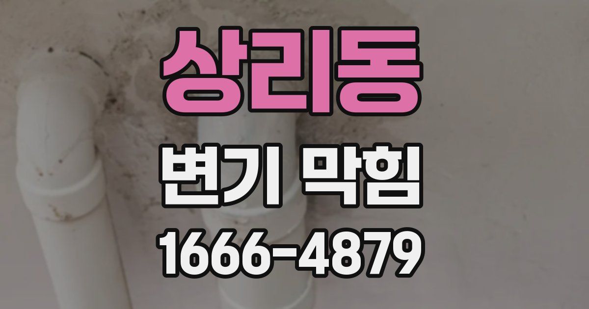 상리동 변기 막힘