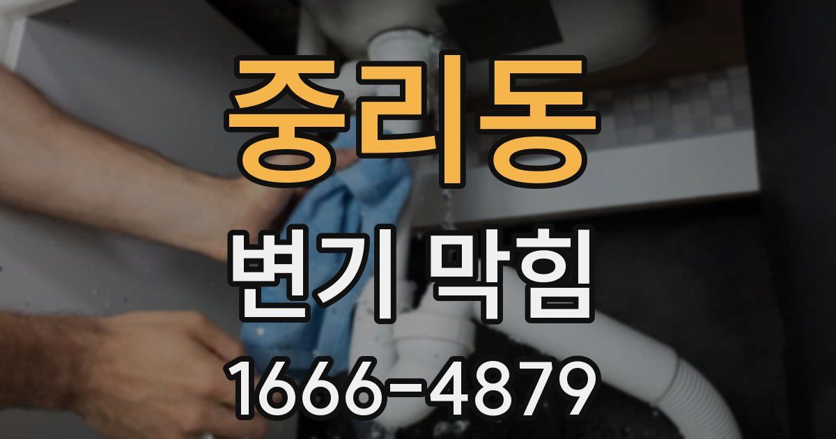 중리동 변기 막힘