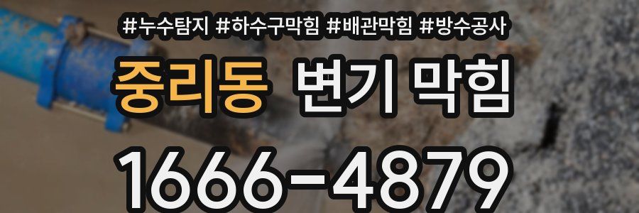 중리동 변기 막힘