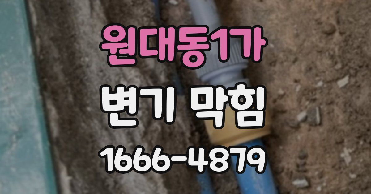 원대동1가 변기 막힘
