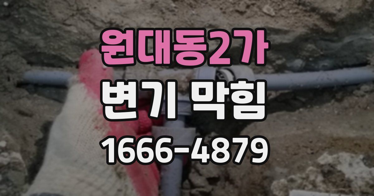 원대동2가 변기 막힘