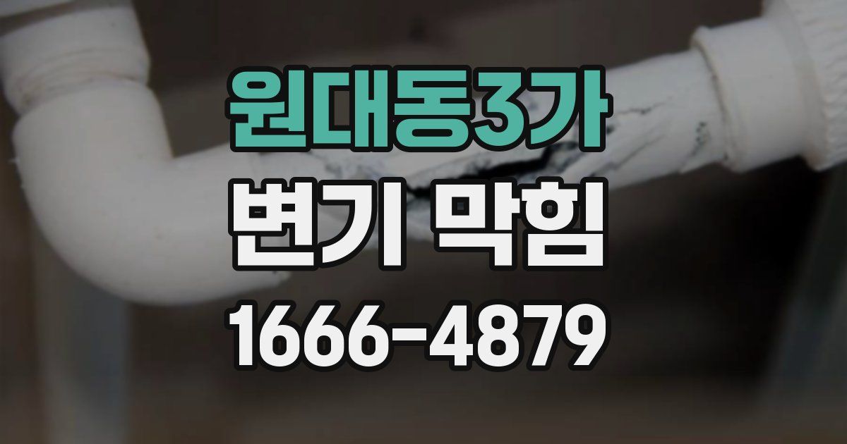 원대동3가 변기 막힘