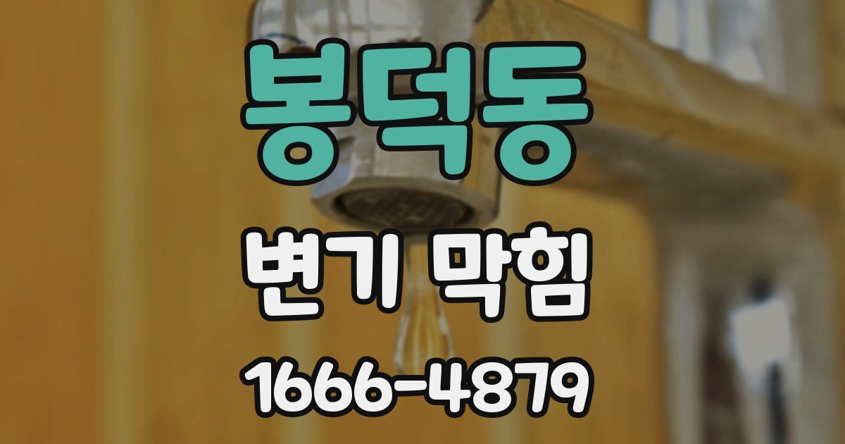 봉덕동 변기 막힘