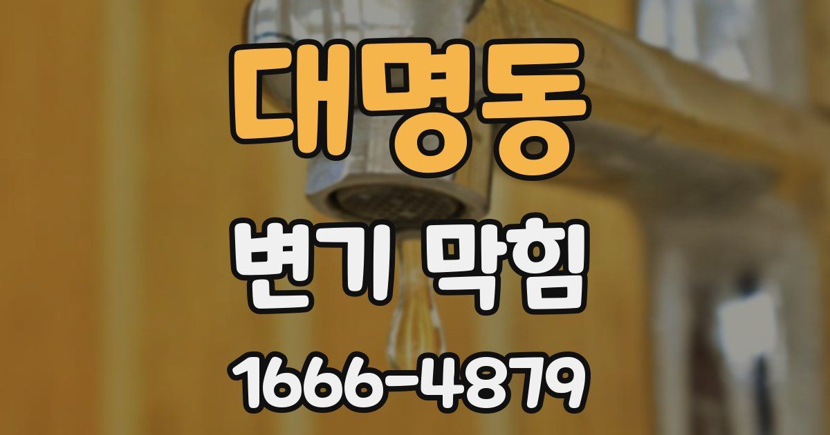대명동 변기 막힘