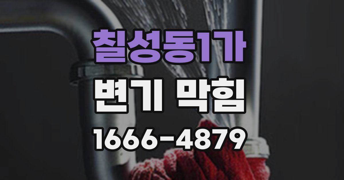 칠성동1가 변기 막힘