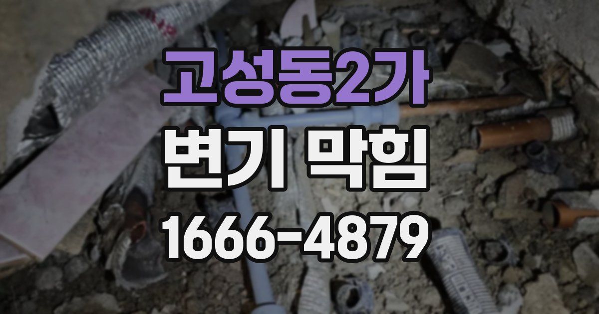고성동2가 변기 막힘