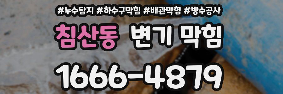 침산동 변기 막힘