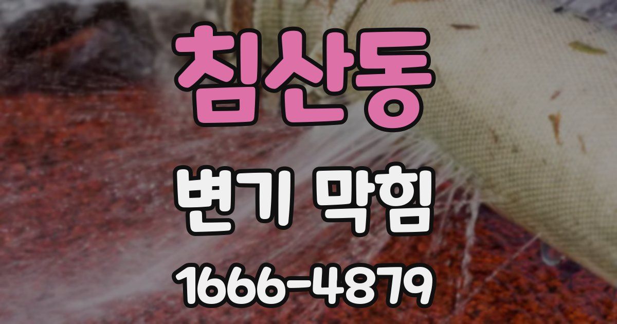침산동 변기 막힘