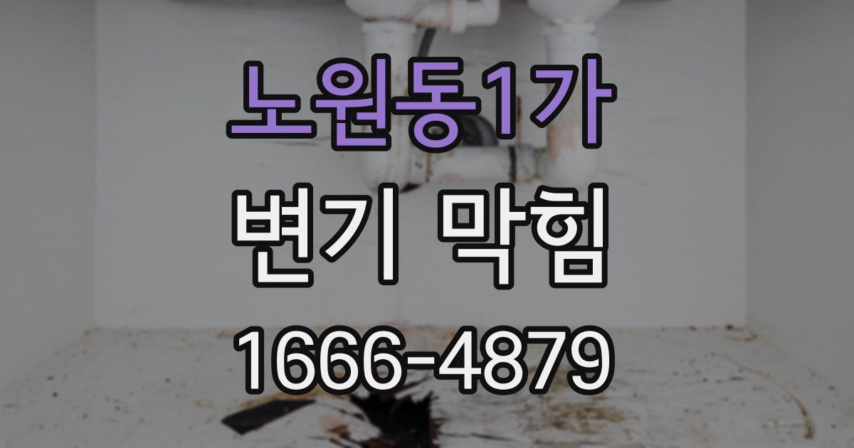 노원동1가 변기 막힘