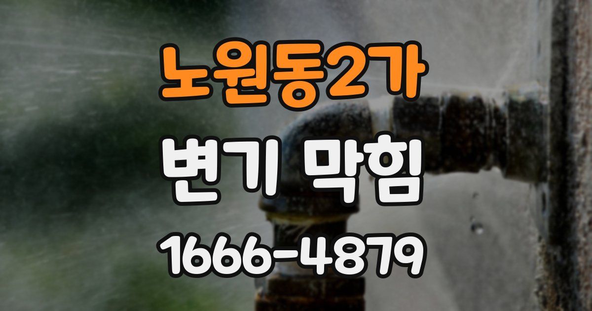 노원동2가 변기 막힘