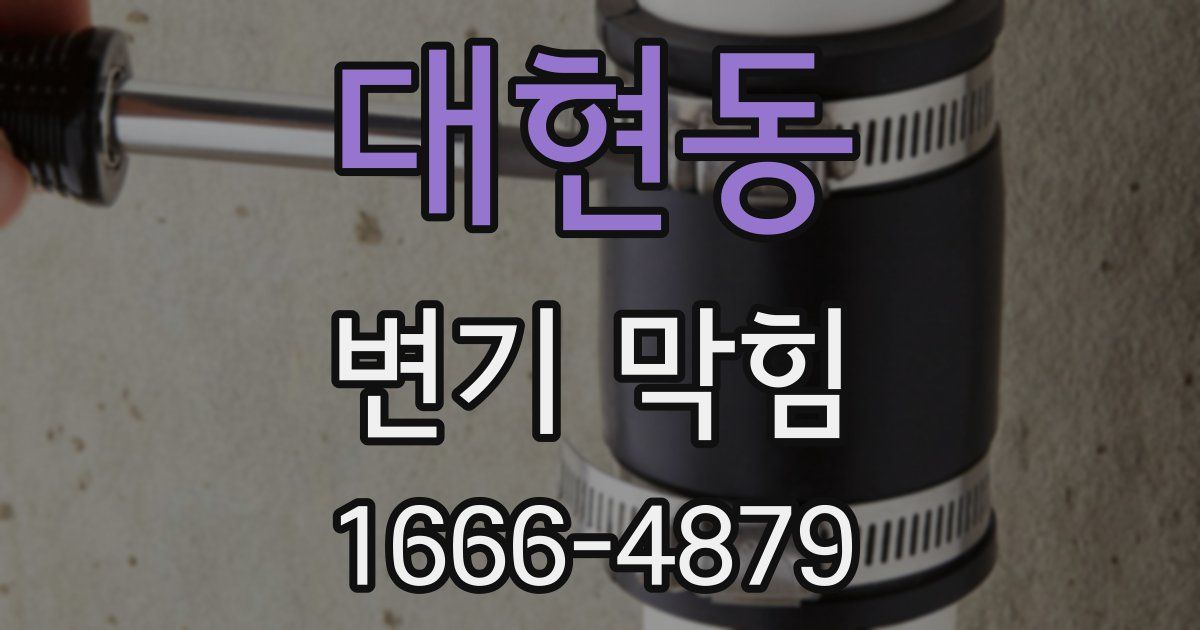 대현동 변기 막힘