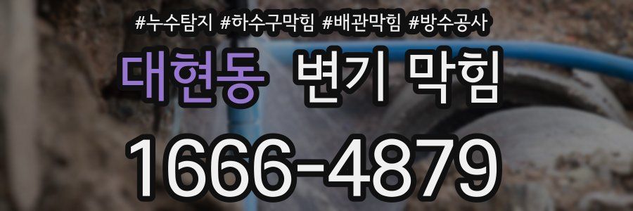 대현동 변기 막힘