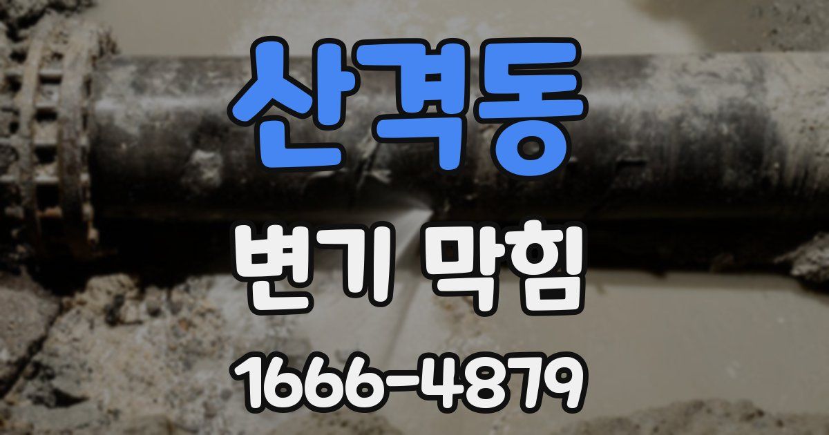 산격동 변기 막힘