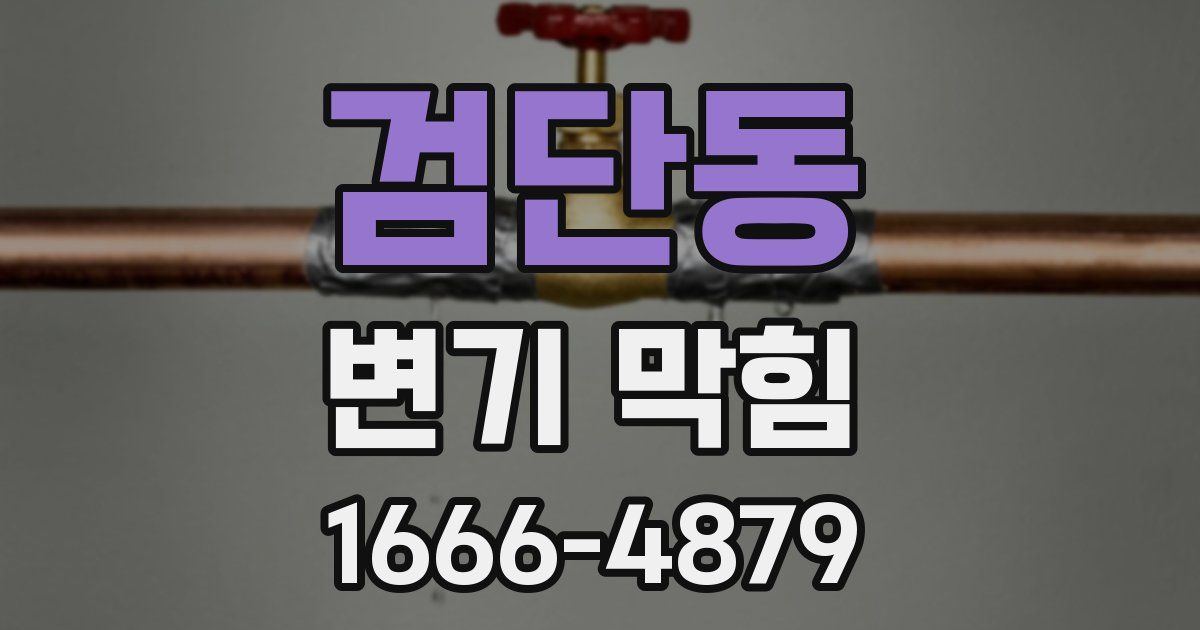 검단동 변기 막힘