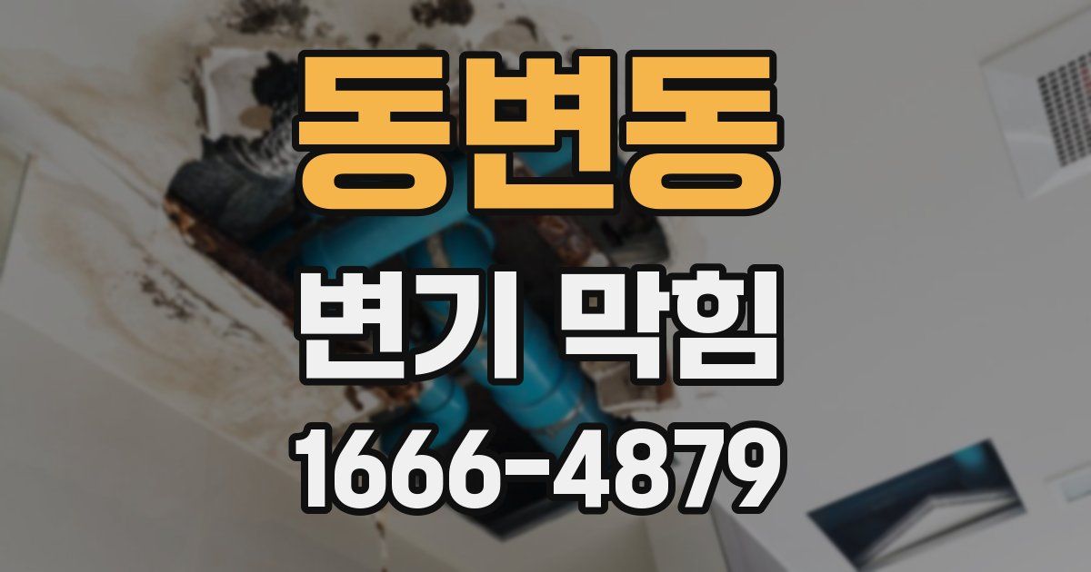 동변동 변기 막힘