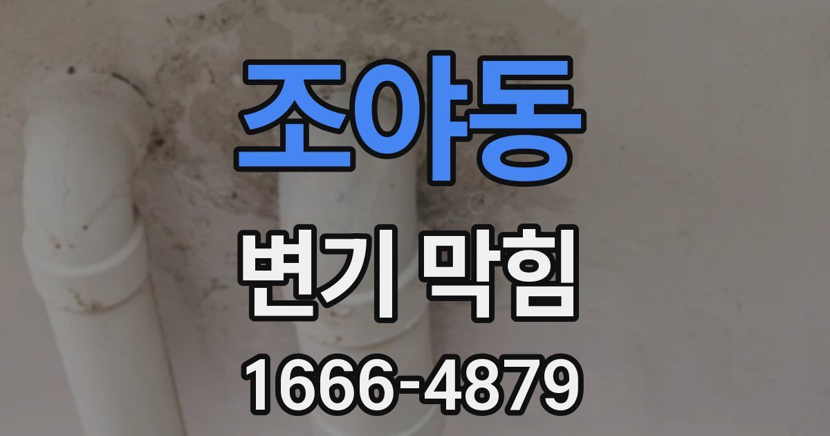 조야동 변기 막힘