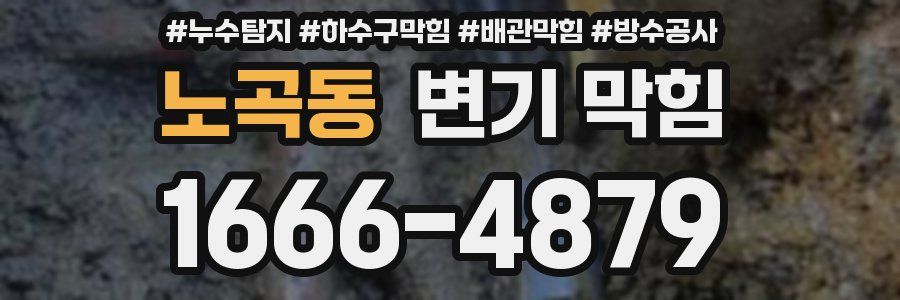 노곡동 변기 막힘