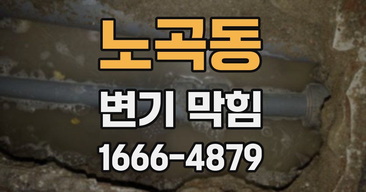 노곡동 변기 막힘