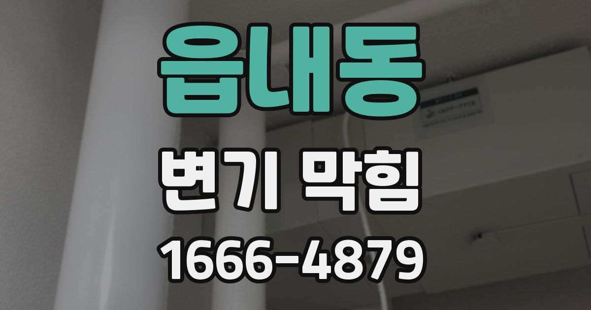 읍내동 변기 막힘
